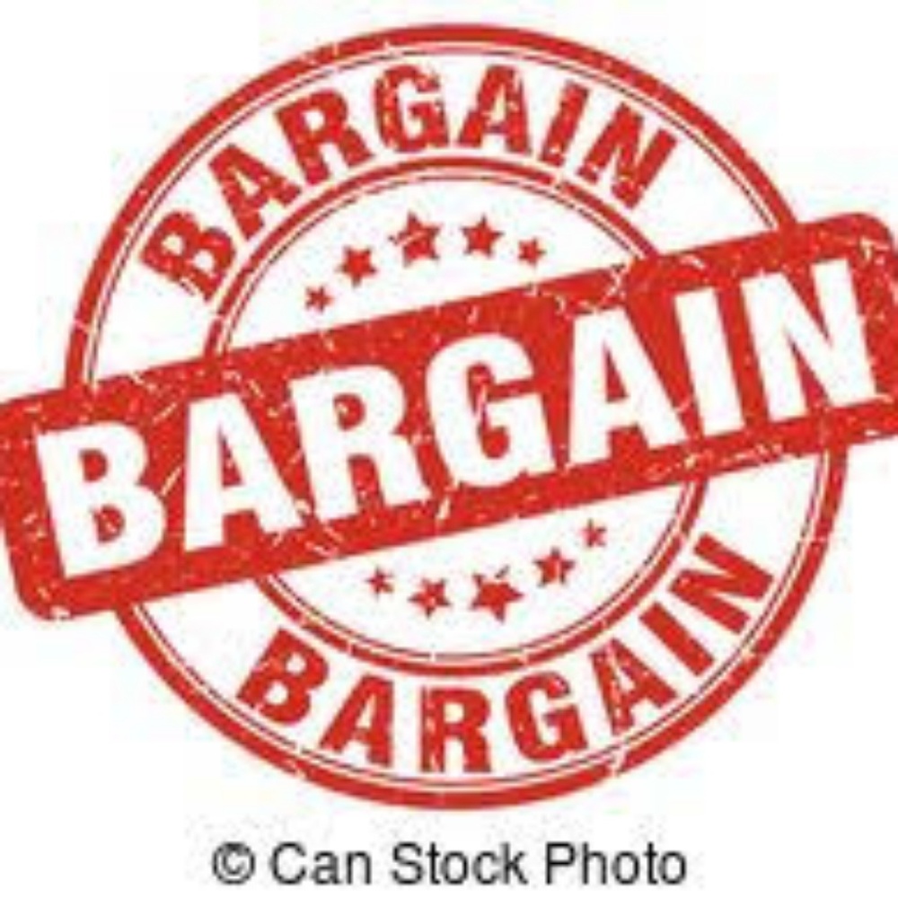 Meet your Posher, Bargain Girl